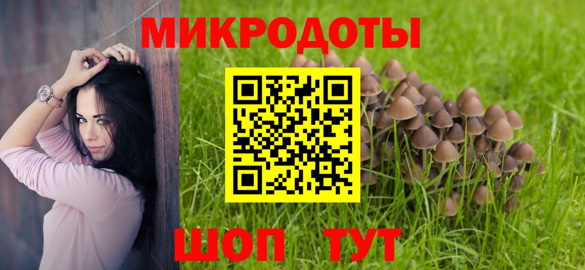 Псилоцибиновые грибы мицелий Самара