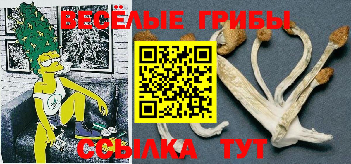 Псилоцибиновые грибы мицелий  Галлюциногенные грибы Magic Shrooms  Самара  Вход с VPN 